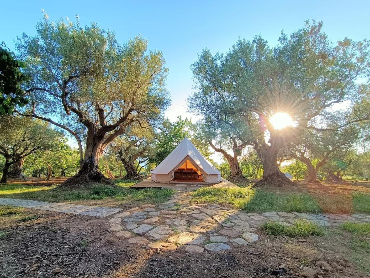 Hotel Golden Camp Falerna Zewnętrze zdjęcie