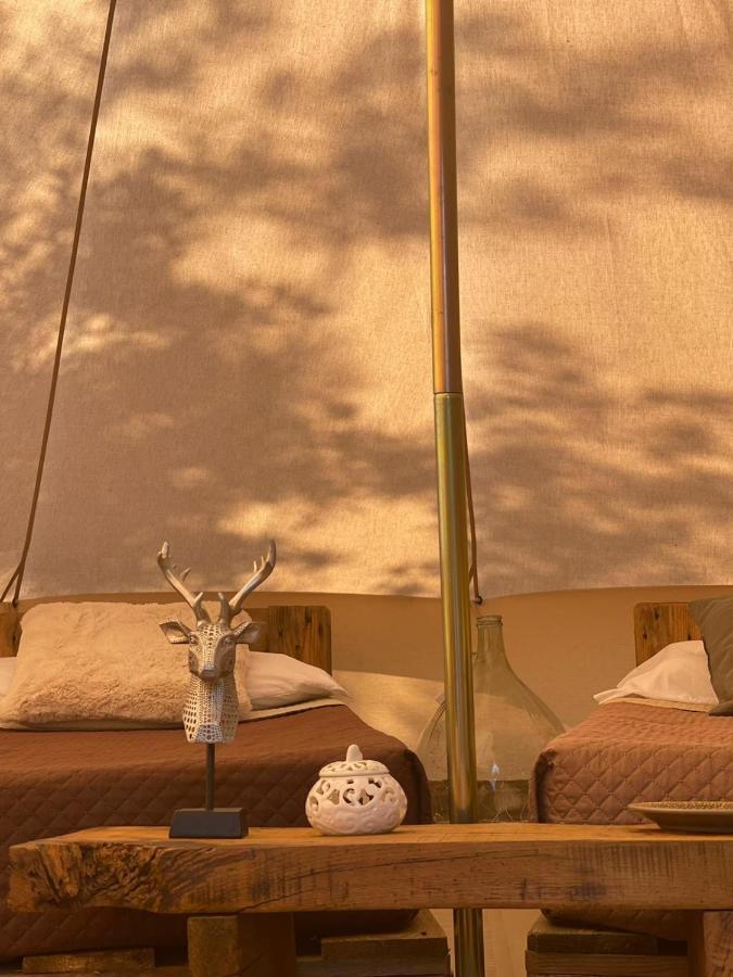 Hotel Golden Camp Falerna Pokój zdjęcie